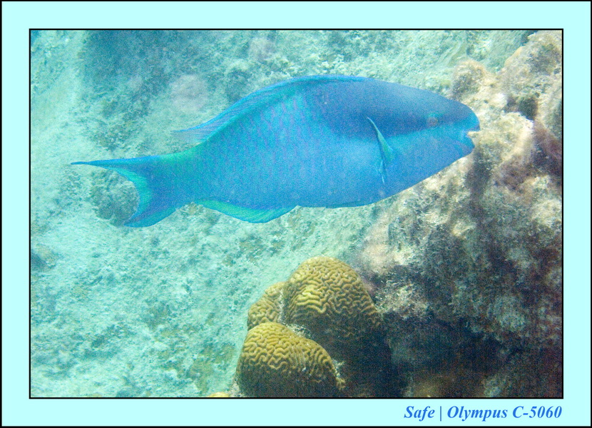 2008 - 07 - Leng Tengah - 097